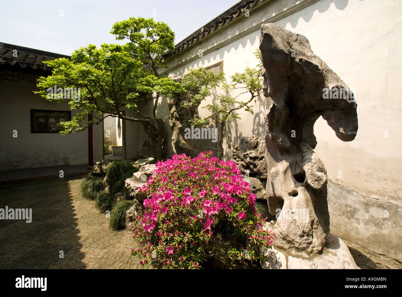 Suzhou Master di una delle reti giardino (Wang Shi Yuan) cortile paesaggistico con pietra Taihu rockery bonzai alberi e fiori Foto Stock