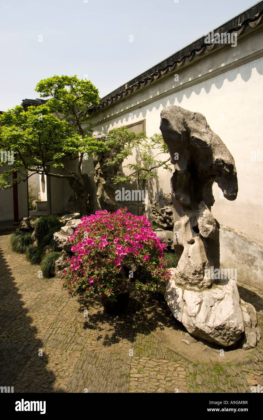 Suzhou Master di una delle reti giardino (Wang Shi Yuan) cortile paesaggistico con pietra Taihu rockery bonzai alberi e fiori Foto Stock