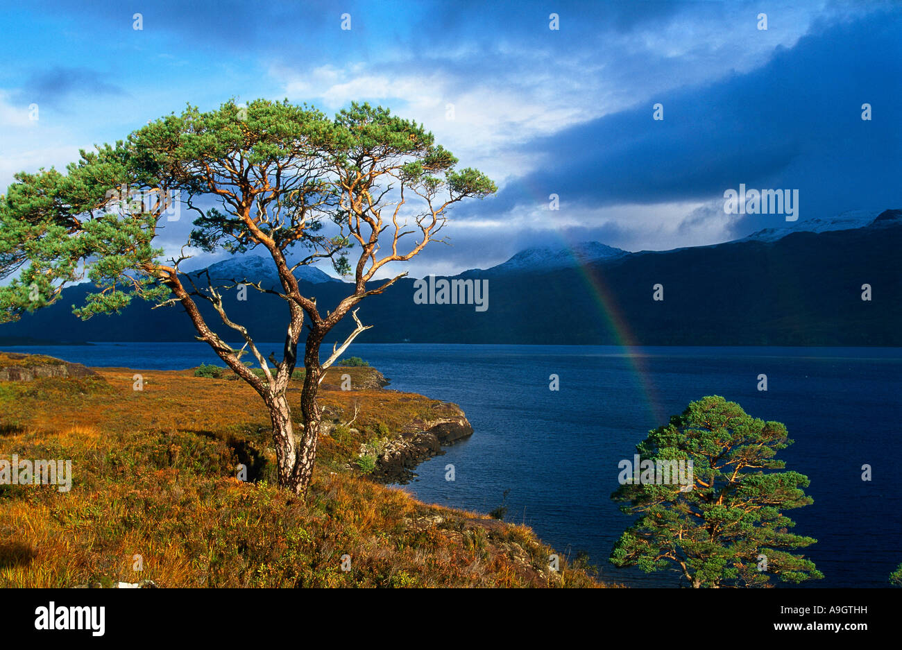Loch Maree di arcobaleno Wester Ross Scotland Regno Unito Foto Stock