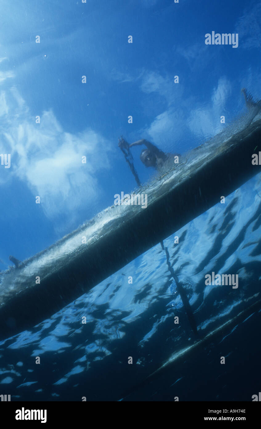 Papua Nuova Guinea ragazzo in canoa Bauwame vicino Resort Tufi Papua Nuova Guinea Foto Stock