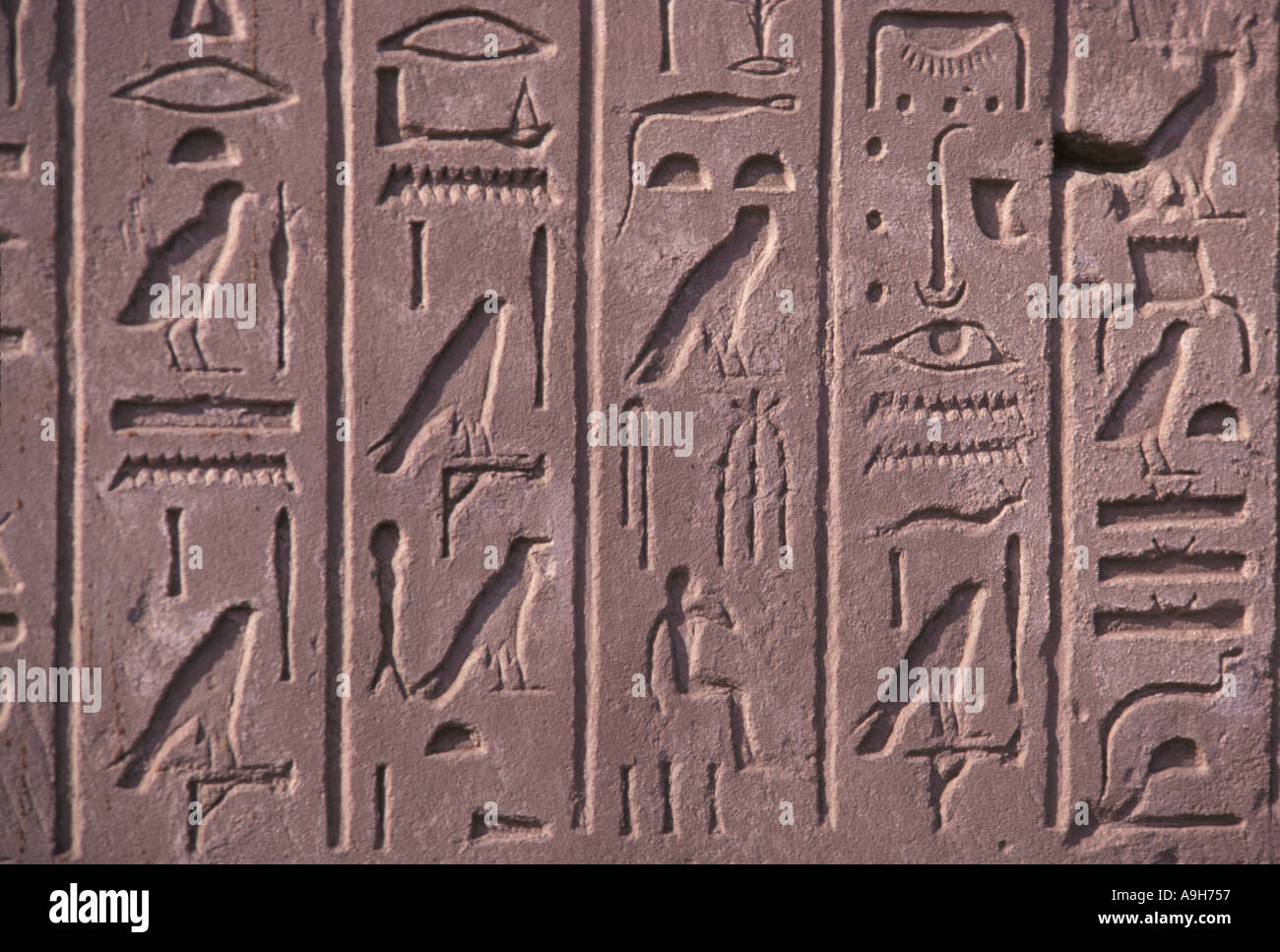 Archeologia geroglifici Karnac Luxor Egitto Foto Stock