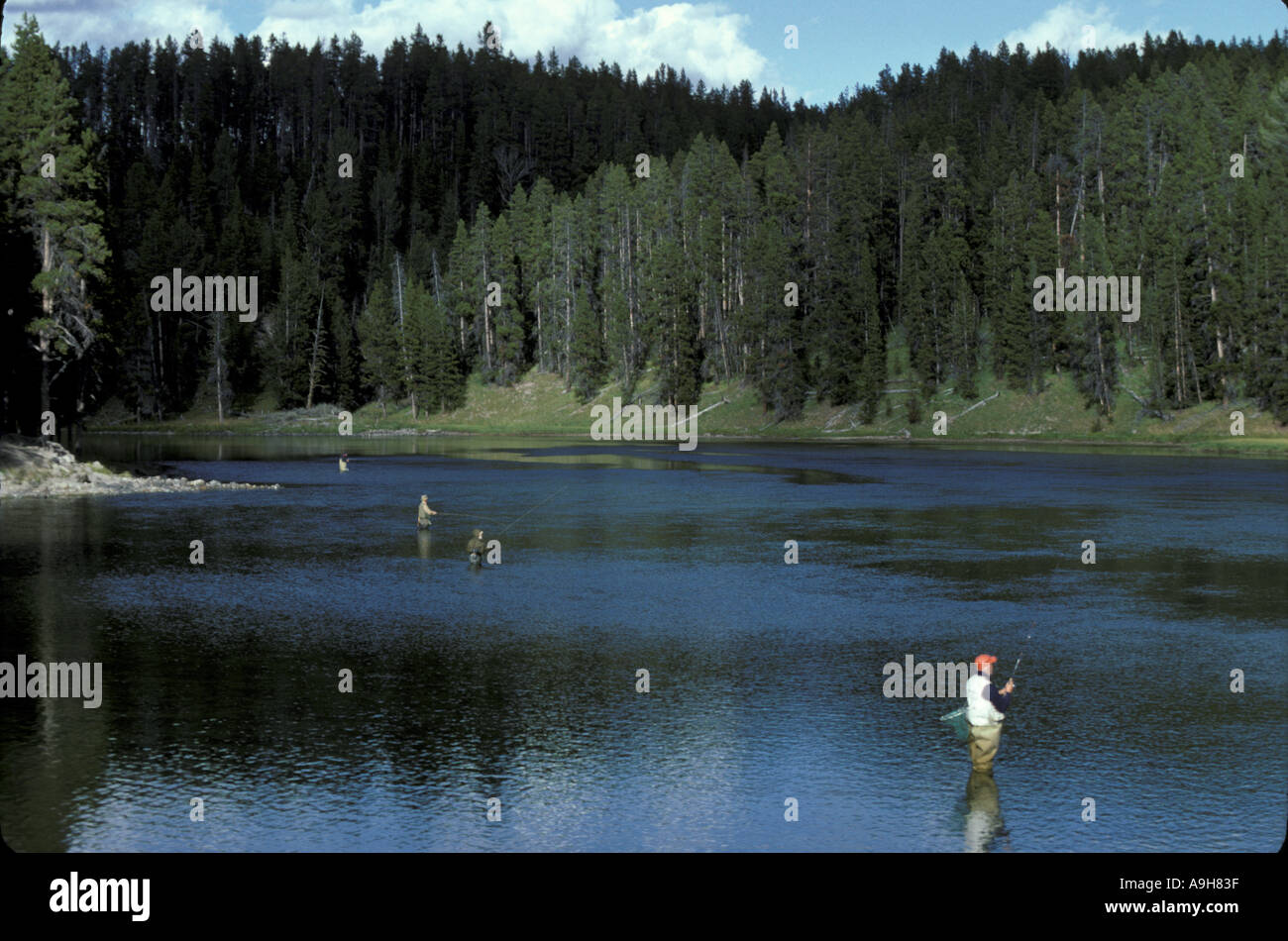 Pesca quattro persone di Pesca a Mosca Report di Pesca fiume Yellowstone Wyoming U S A Foto Stock