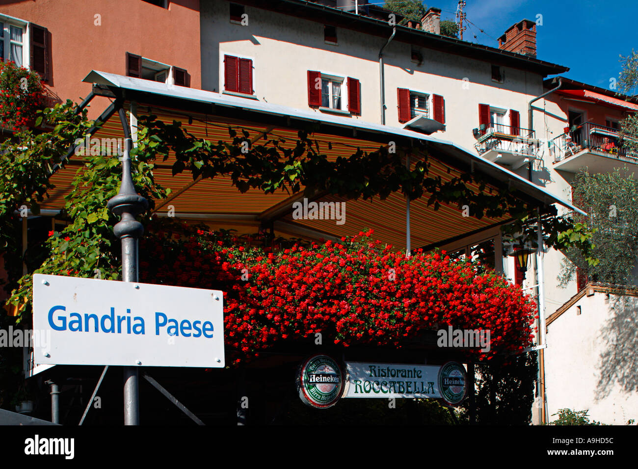 La Svizzera Tessin Lago di Lugano Gandia ex villaggio di fisher fiori pier Foto Stock