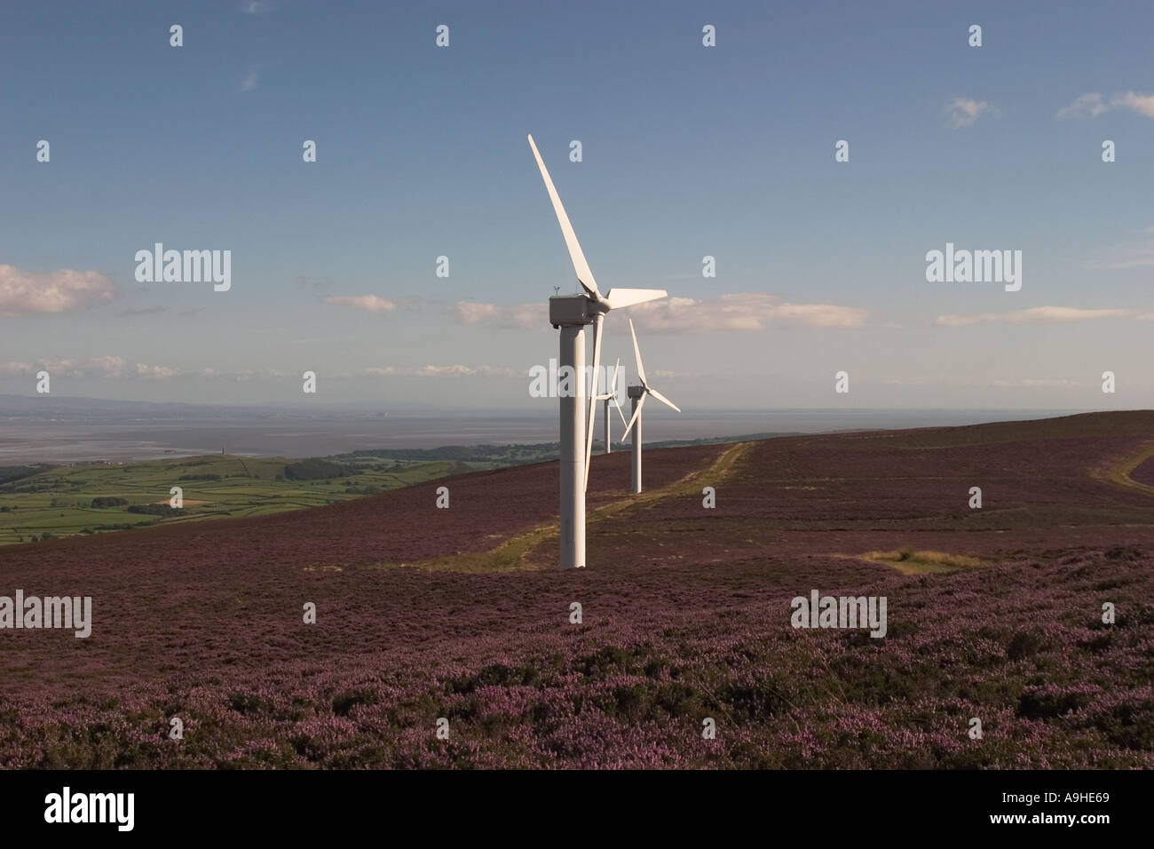 Il potere di vento turbine che producono energia elettrica per la parte di Cumbria a Kirkby Moor Wind Farm, England, Regno Unito Foto Stock