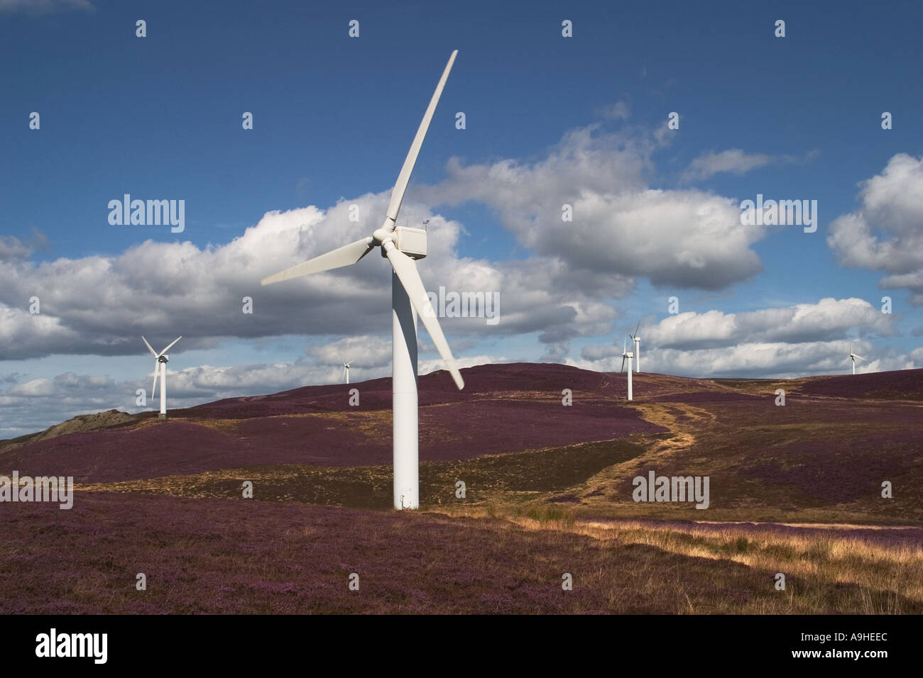 Il potere di vento turbine che producono energia elettrica per la parte di Cumbria a Kirkby Moor Wind Farm, England, Regno Unito Foto Stock