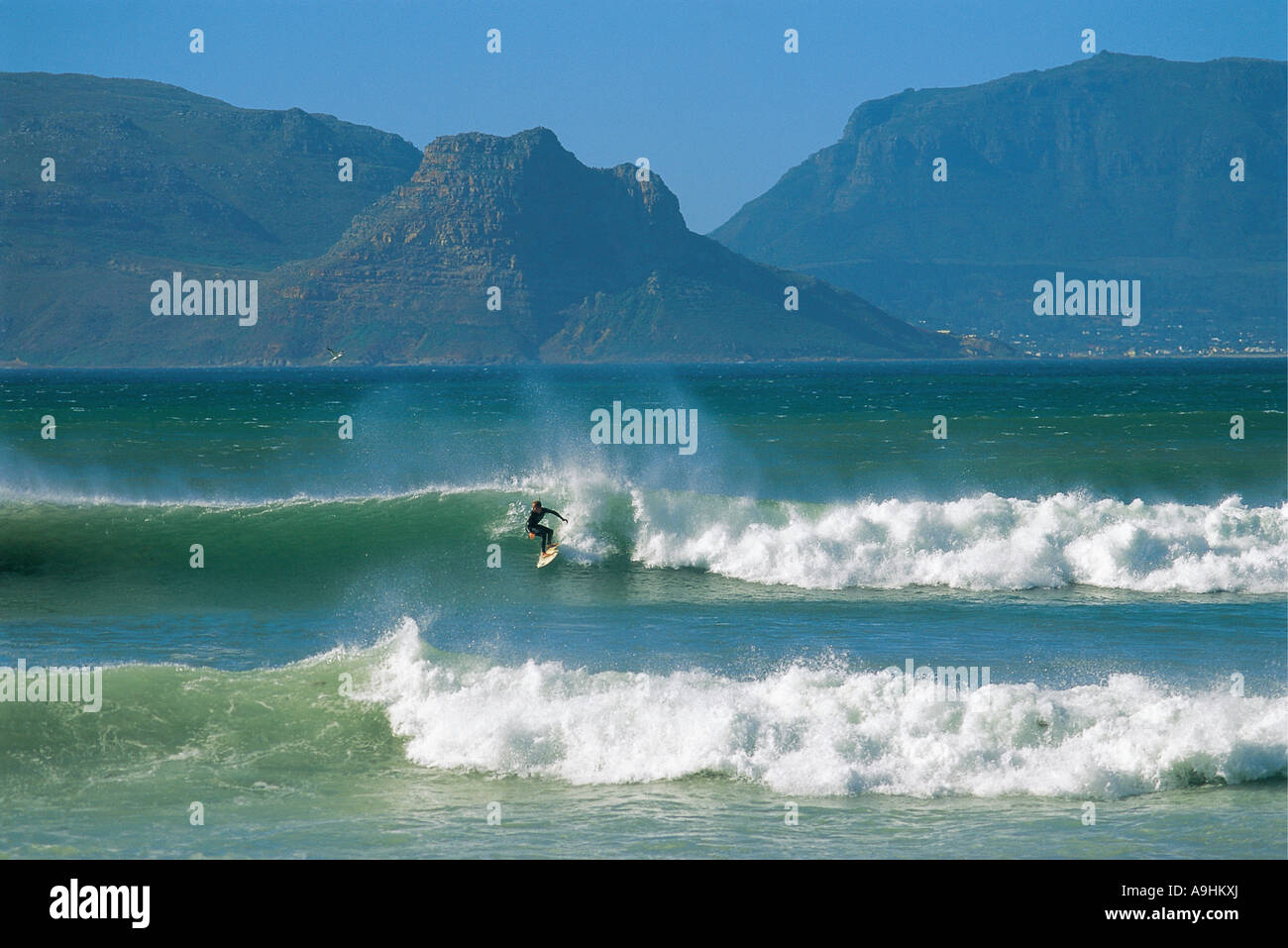 Surfer in onde Kommetjie a Città del Capo in Sud Africa Foto Stock