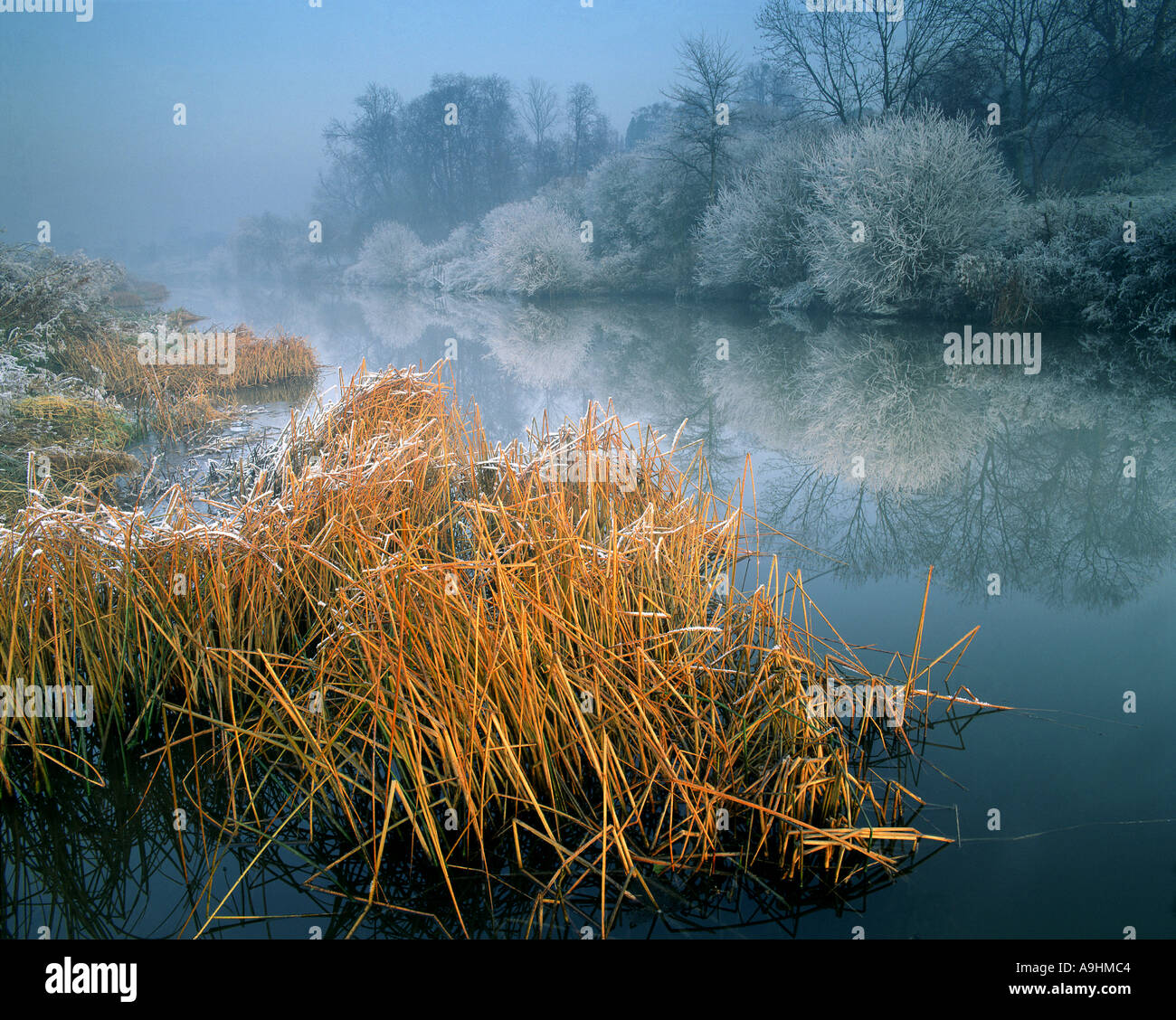 GB - WORCESTERSHIRE: Fiume Avon vicino Fladbury Foto Stock