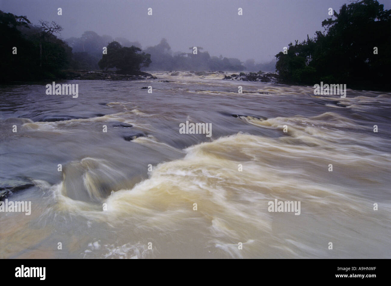 Rapids in tropicale Dja fiume , il Camerun, riserva du Dja Dja, Fiume Foto Stock