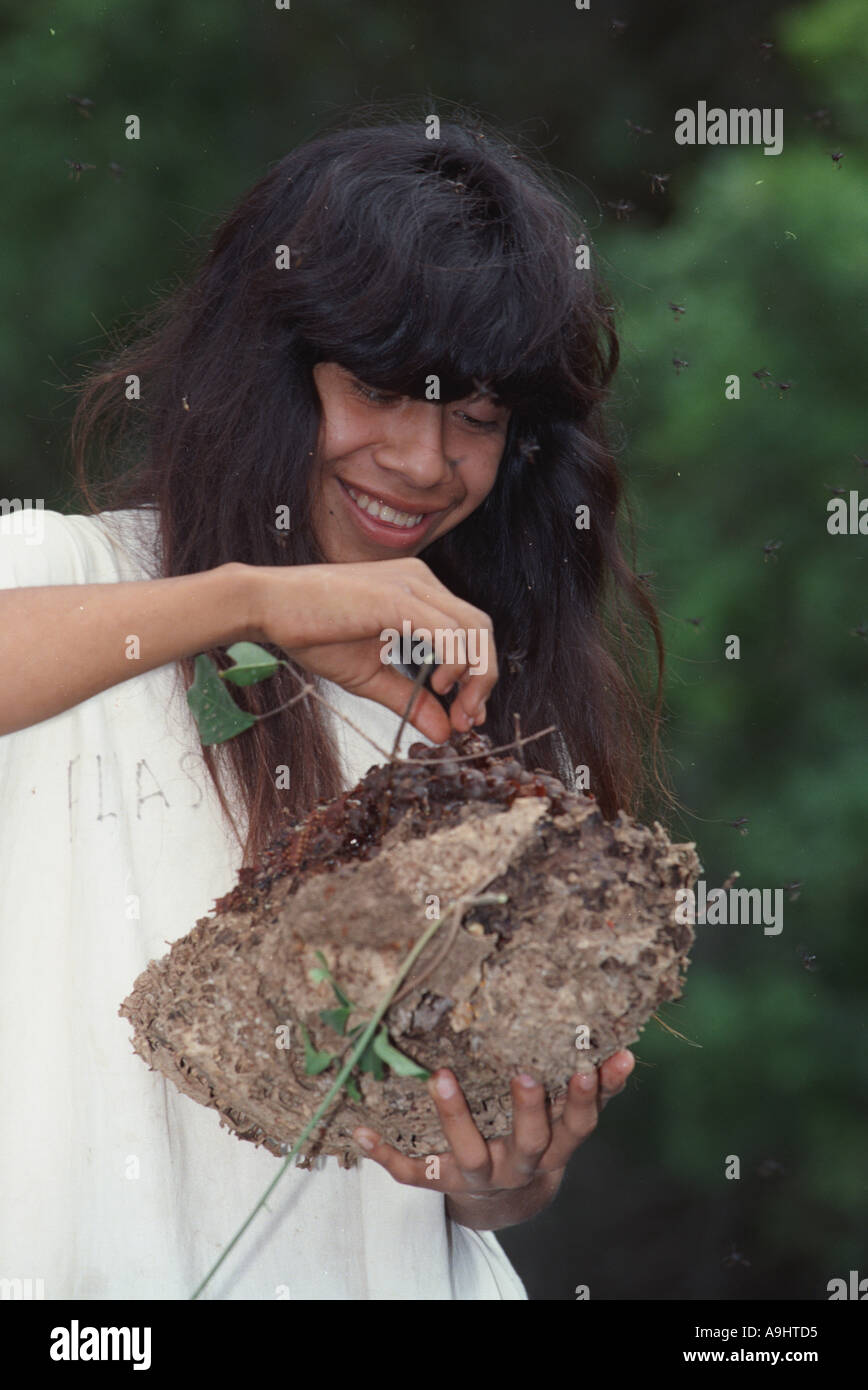 Nord America, Messico, Chiapas, Metzabok, Selva Lacandona. Una rara orchidea ape (Euglossini) hive. Foto Stock