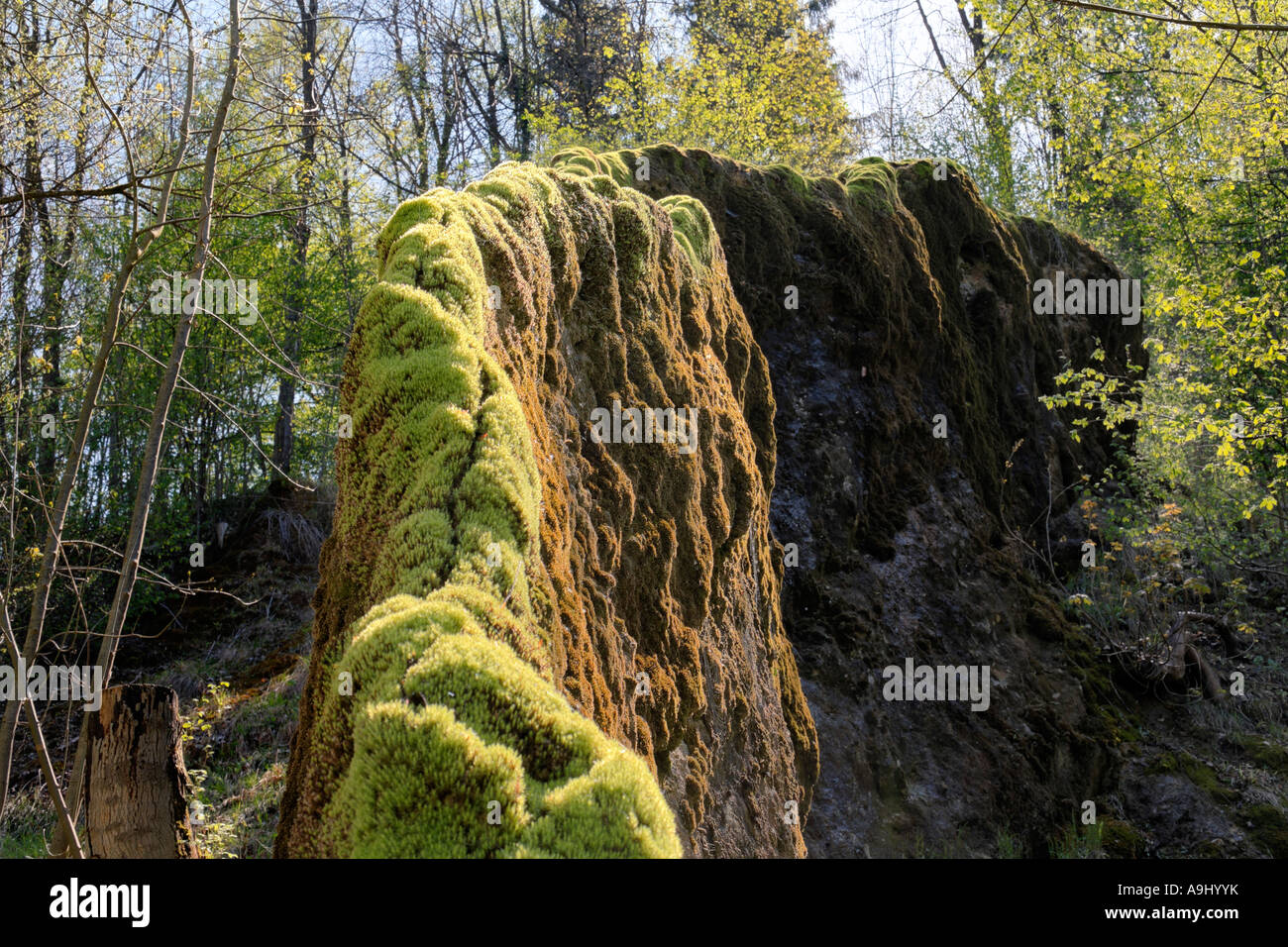 Aumentare rock in Usterling vicino a Landau Bassa Baviera Germania Foto Stock