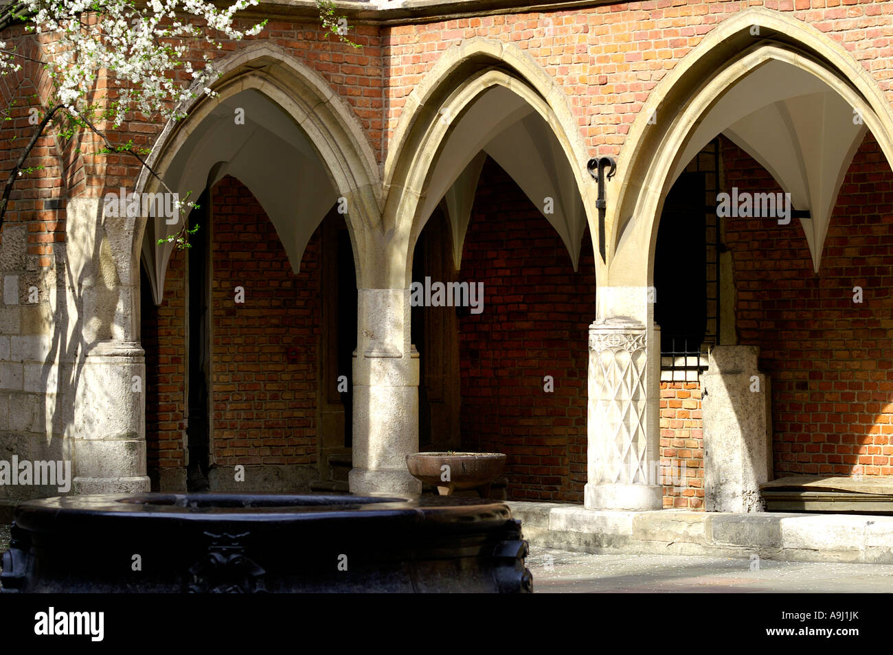 Collegium Maius cortile porticato, Università Jagellonica, Cracovia, Cracovia, Polonia Foto Stock