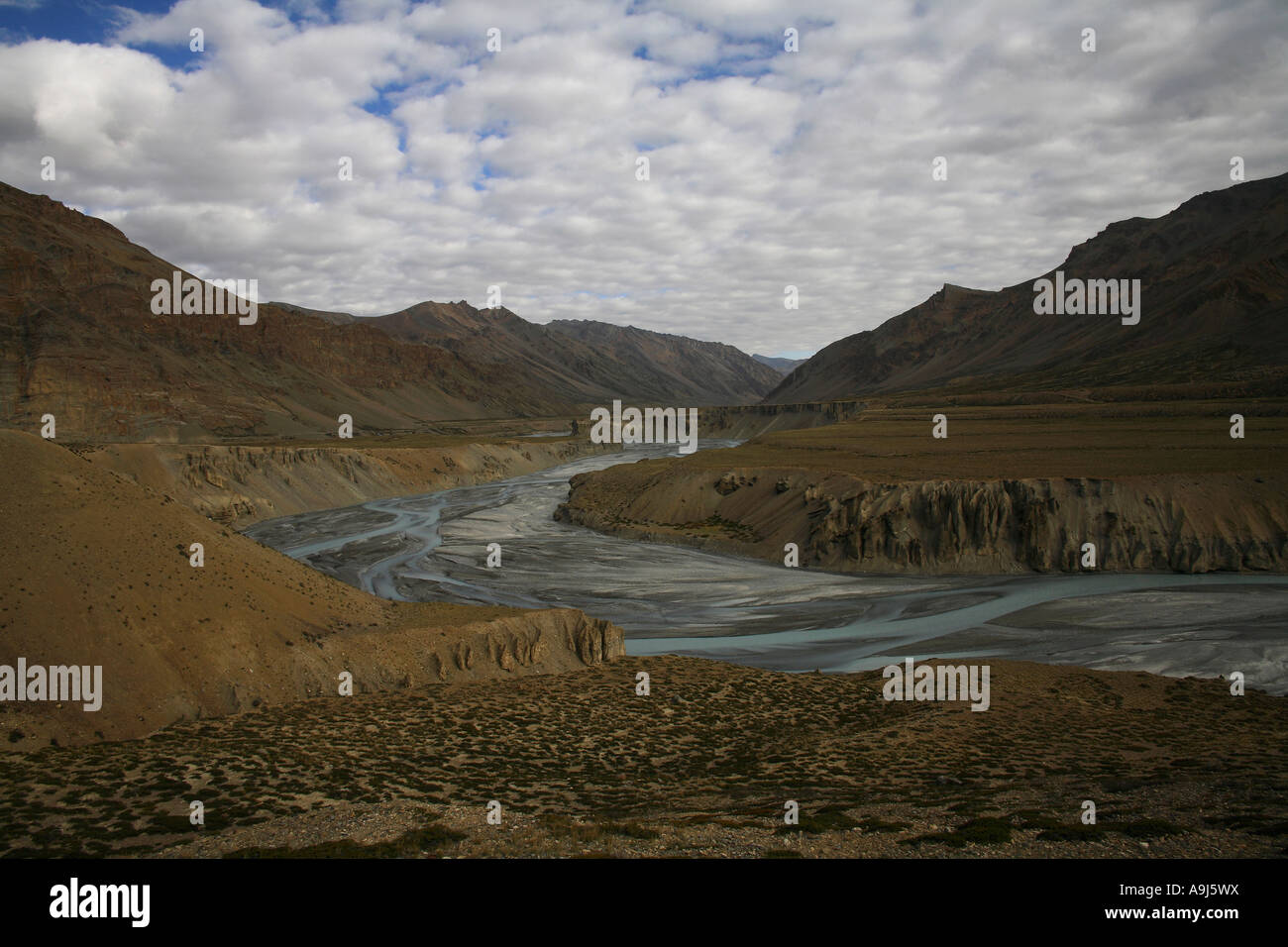 Correnti verso il fiume Indo, Himachal Pradesh, India Foto Stock
