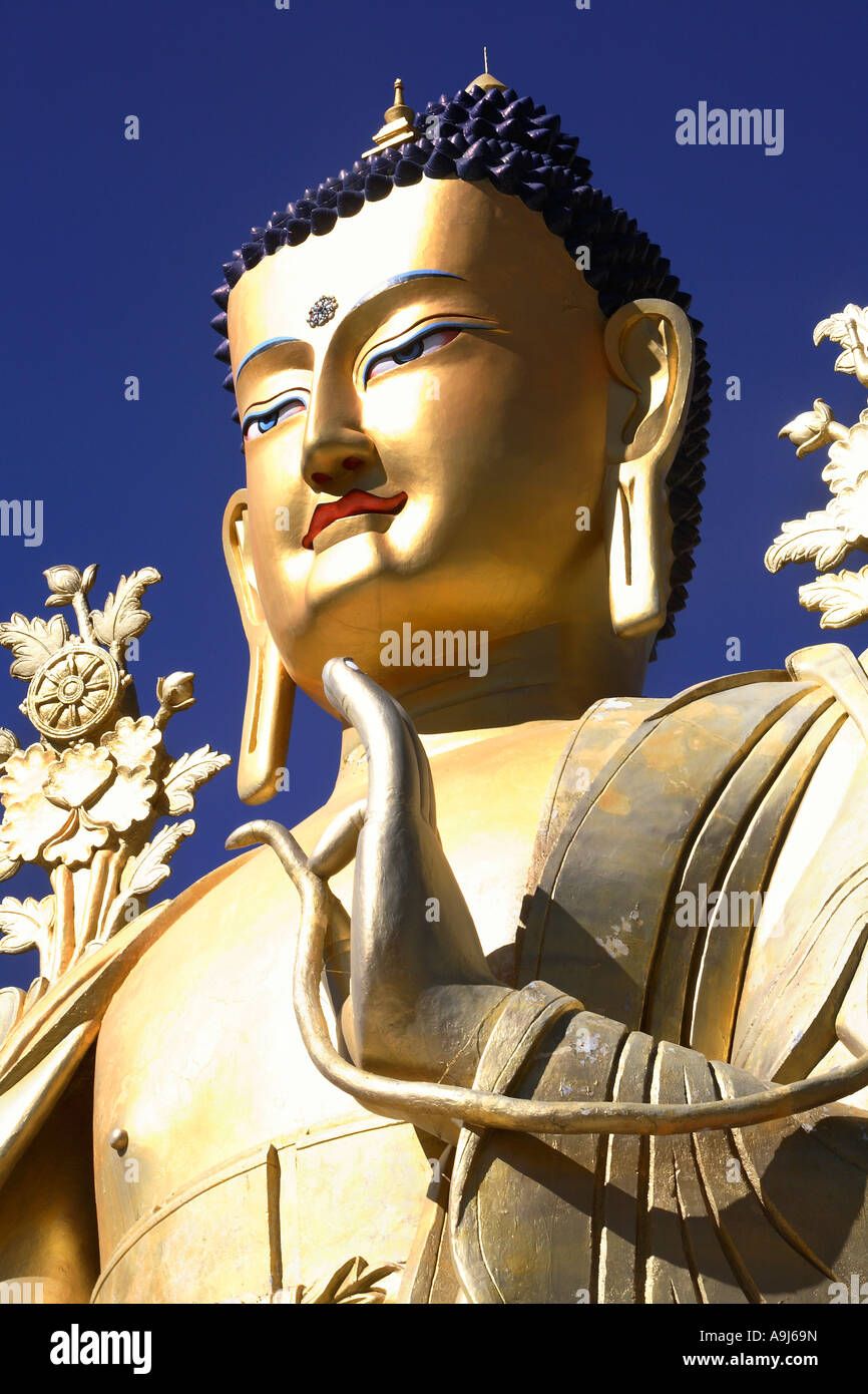 40 piedi statua del signore budha a shey gompa, Ladakh, Jammu Kashmir India Foto Stock