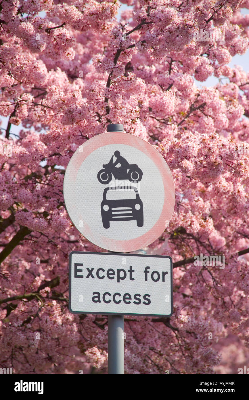 Nessun veicolo tranne il segnale stradale di accesso e Cherry fioritura Foto Stock