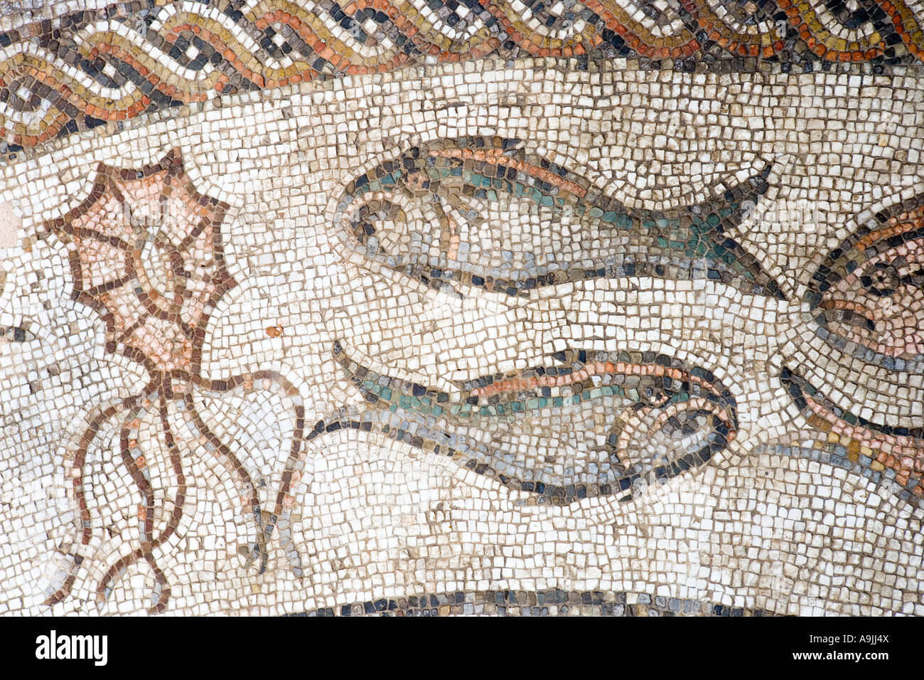 Paleo mosaici Cristiana, Treviso, Veneto, Italia Foto Stock