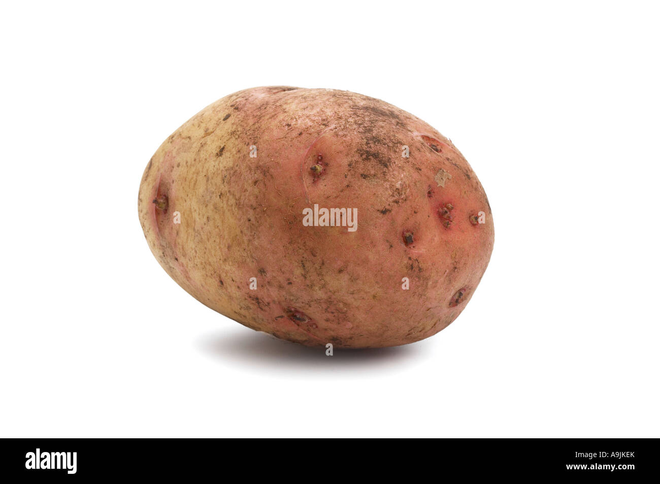 King Edward Potato Foto Stock
