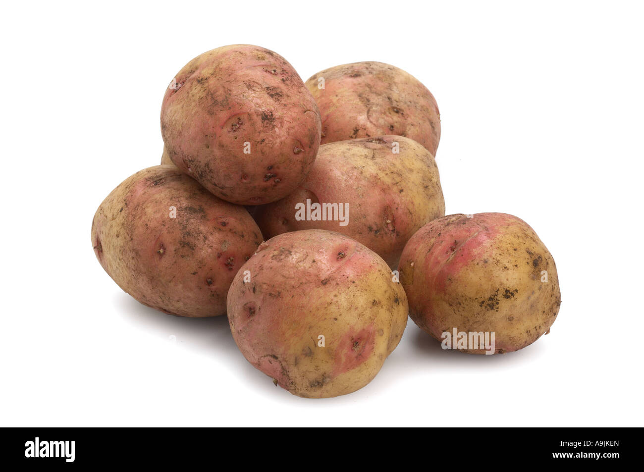 Il re Edoardo patate Foto Stock