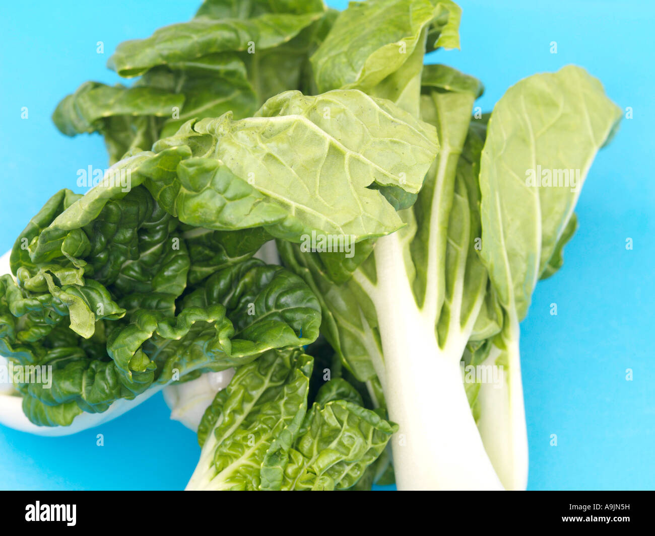 Fresco e salutare o asiatici bambino cinese Pak Choi ingrediente di cottura con vegetali n. persone Foto Stock
