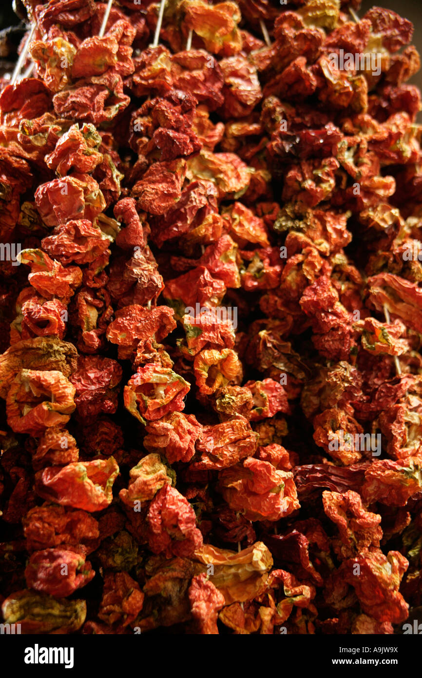 Pomodori secchi filettata sulla stringa in corrispondenza il Bazaar Egiziano delle Spezie, Istanbul, Turchia Foto Stock
