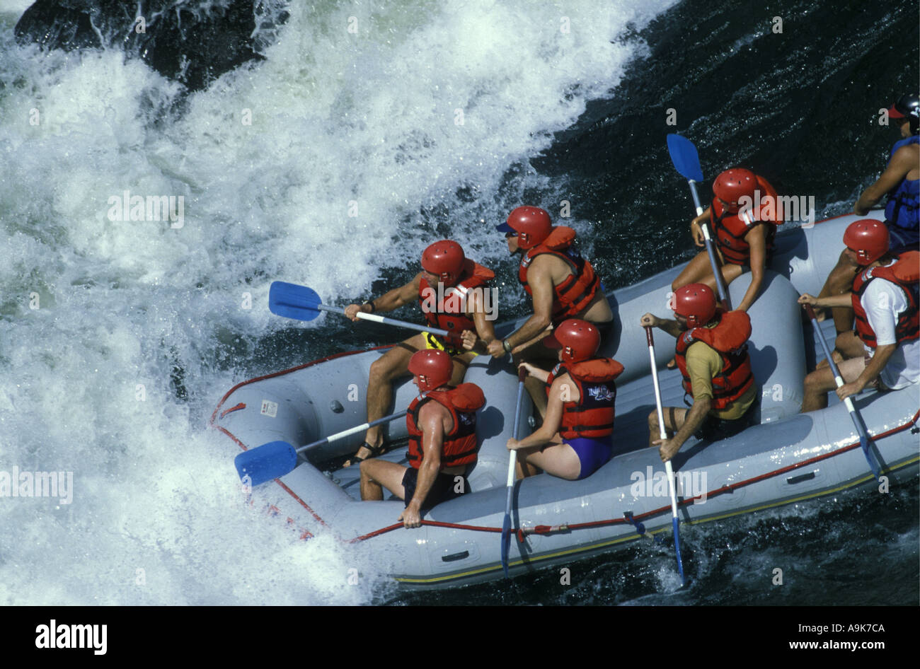 White water rafting sul fiume Zambesi vicino a Victoria Falls in Zambezi National Park Zimbabwe Africa Foto Stock