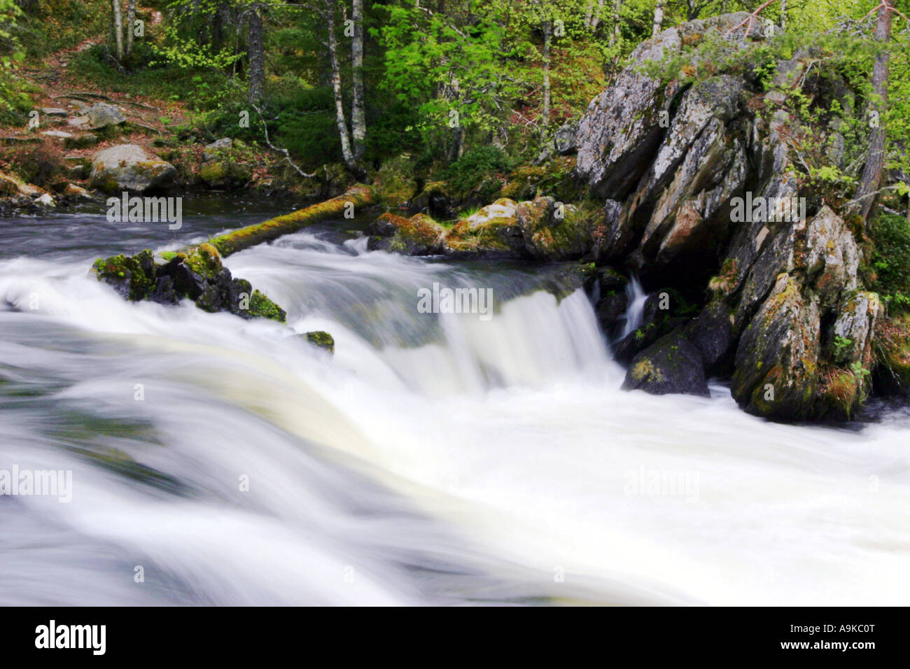 Cascata Myllykoski, Finlandia, Oulu, Kuusamo Foto Stock
