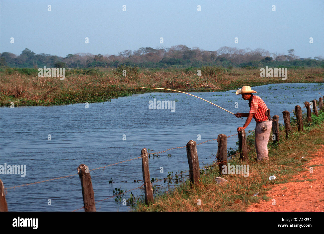 Fisherman lungo la Transpantaneira Pantanal del nord del Brasile Foto Stock