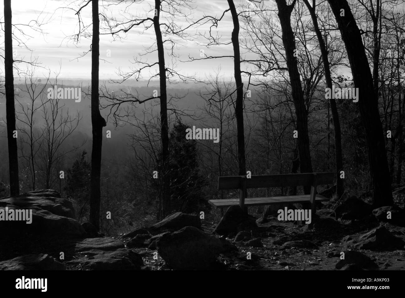 Panca e alberi sul sentiero che conduce alla cima della Kennesaw Mountain Kennesaw GA Foto Stock