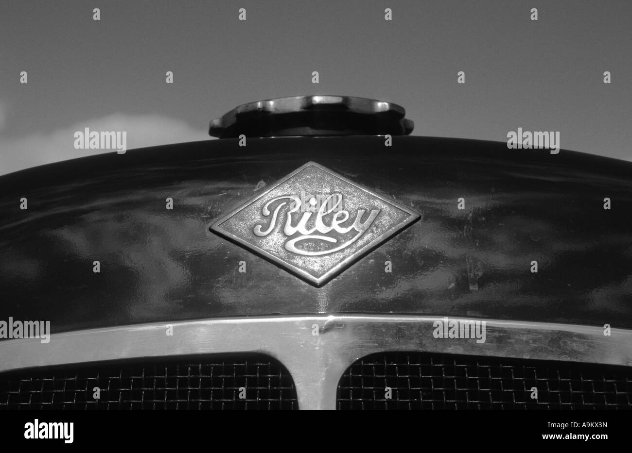 Riley speciale. Inglese Il costruttore di auto 1898 al 1969. Riley car auto badge marque British maker motif Foto Stock