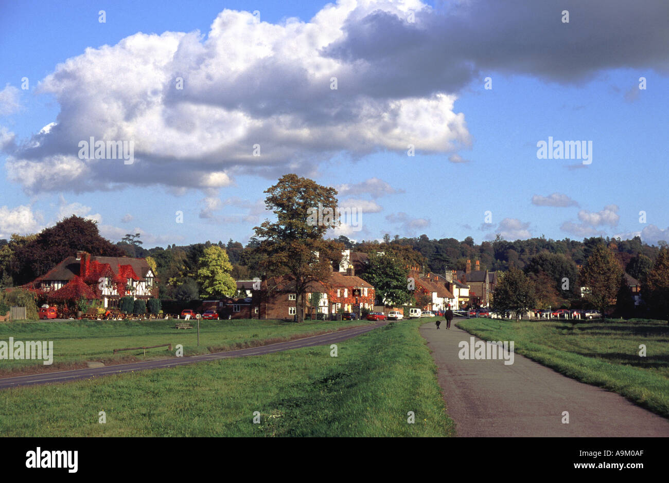 Cookham Berkshire Inghilterra vista del villaggio da causeway attraverso Moor Foto Stock