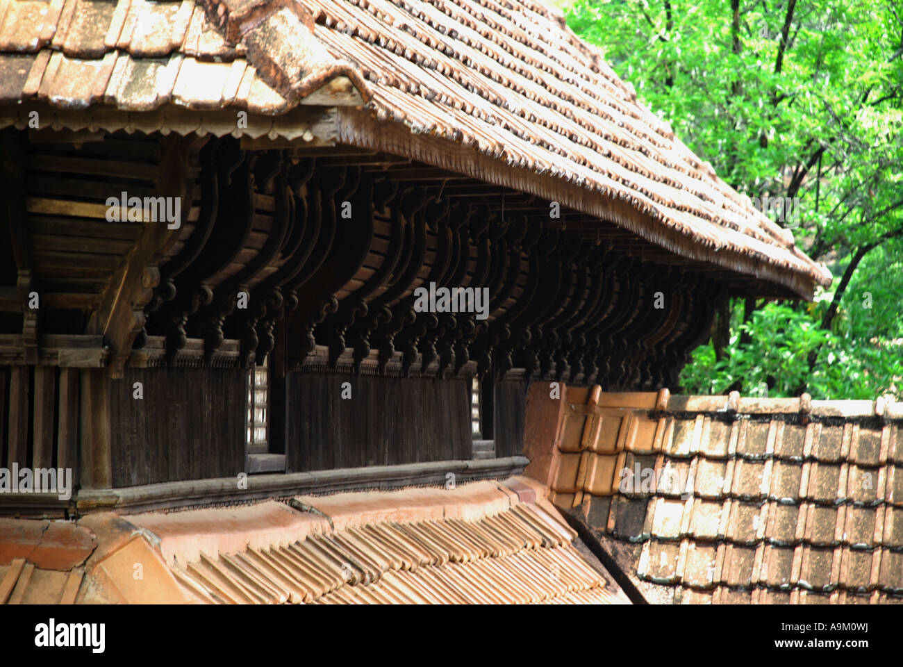 Padmanafapuram palazzo di legno sidewindow tenuta,tilein area donna thakkala keralam, TAMIL NADU Foto Stock