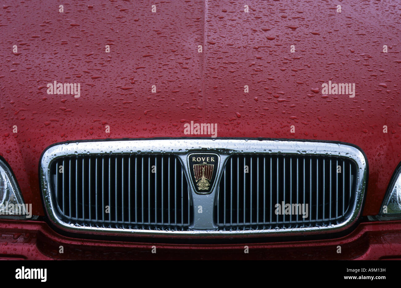 Rover 600 del 1994. Inglese Il costruttore di auto 1904. Rover auto auto badge marque British maker motif Foto Stock