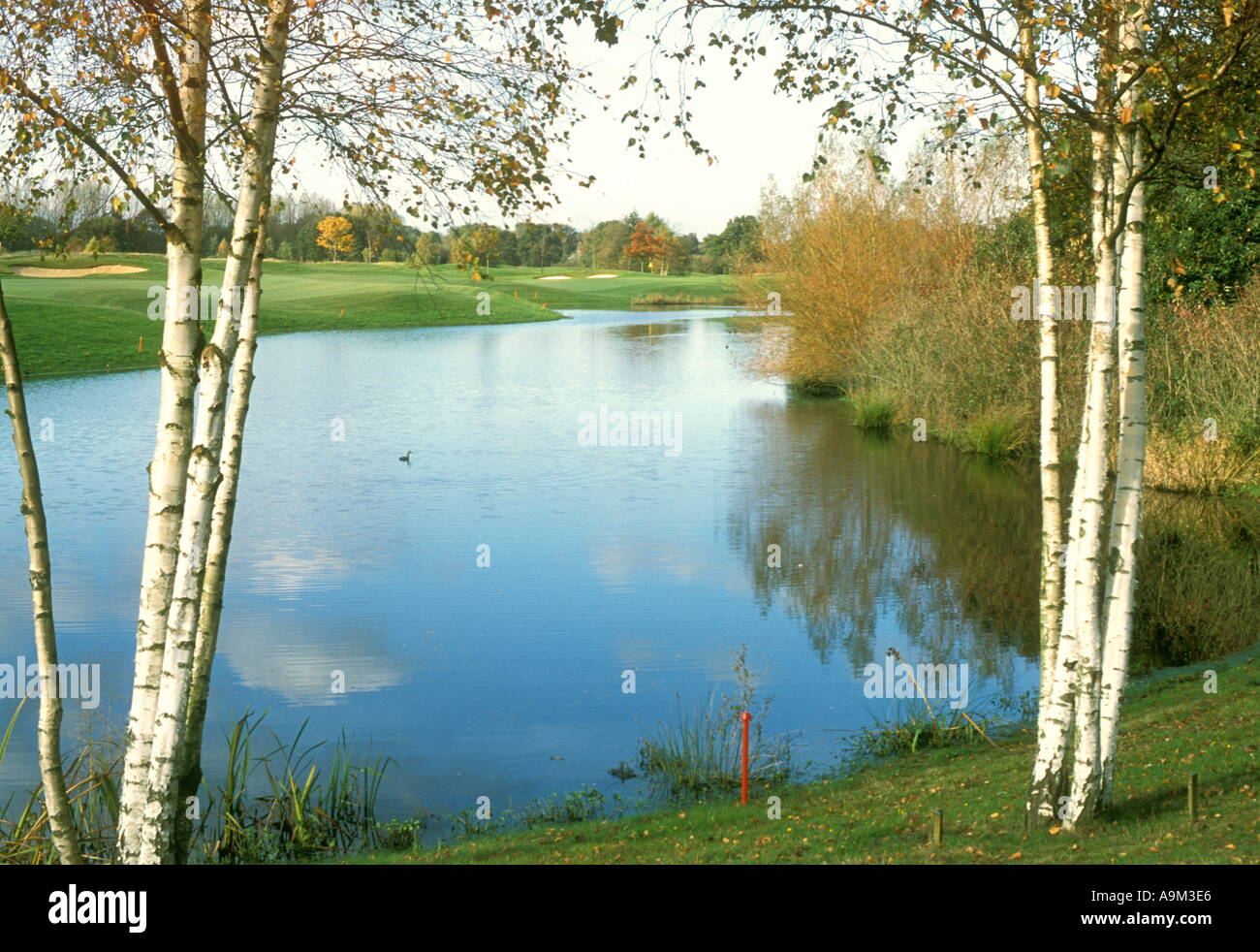 Il Wisley Golf Club di Woking Surrey in Inghilterra nono foro REGNO UNITO Foto Stock