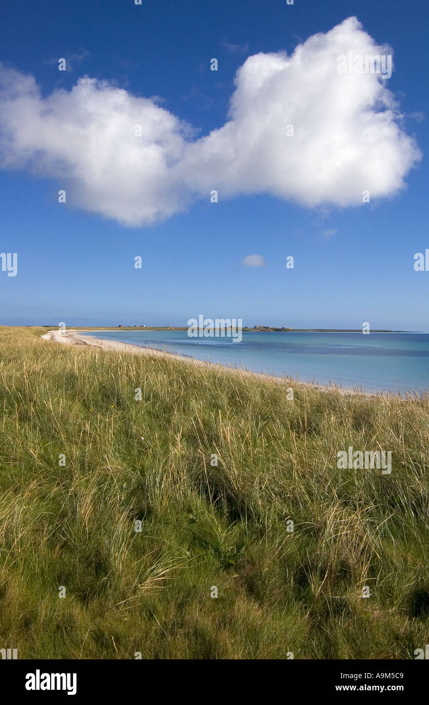 dh Bay of Lopness SANDAY ORKNEY Scozia dune di sabbia bianca isola remota lontano costiero vuota costa blu cielo verde erba di martram distanza dalla spiaggia Foto Stock