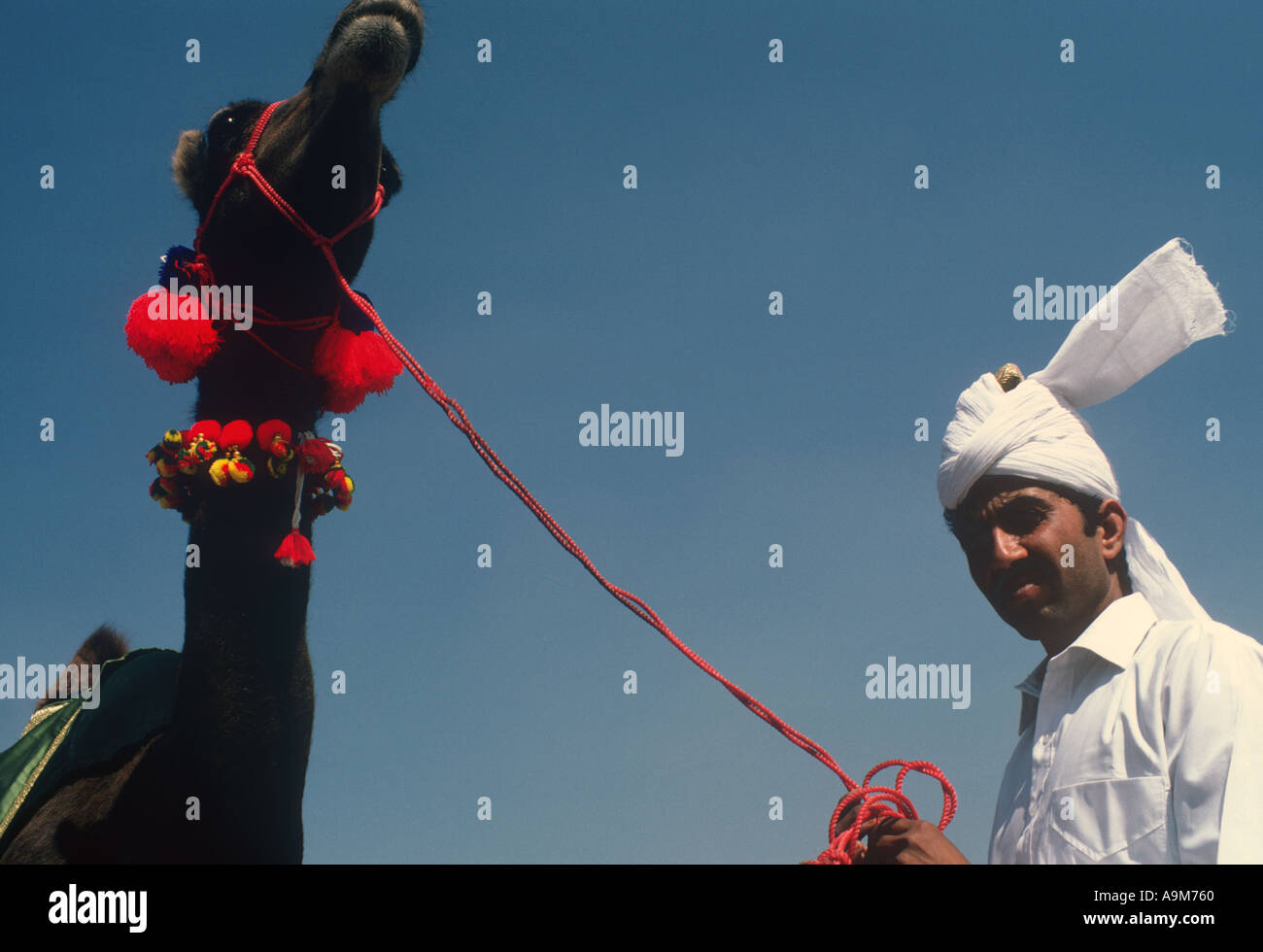 Uomo con cammello al mercato Pakistan SB Foto Stock