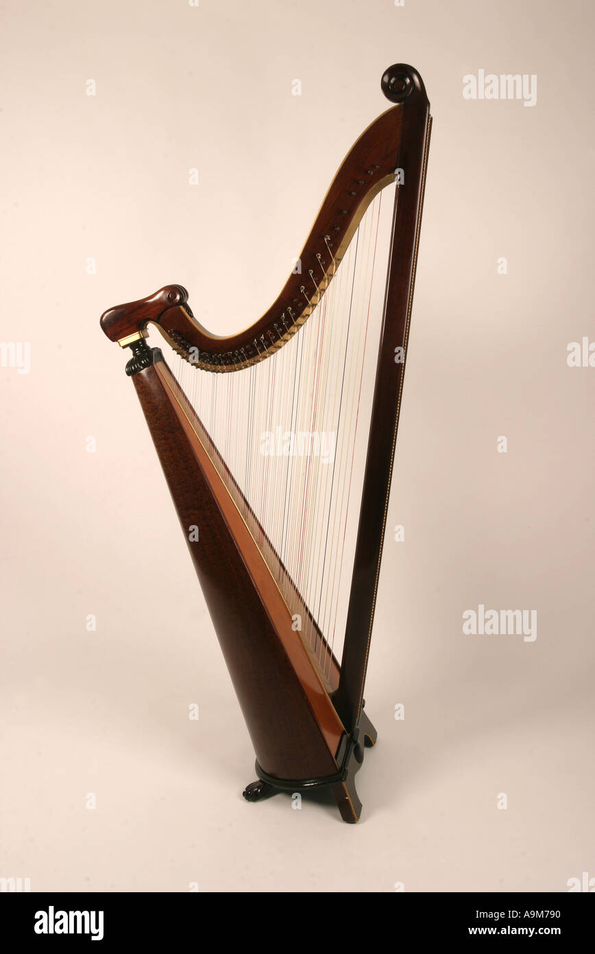 National instrument of wales immagini e fotografie stock ad alta ...