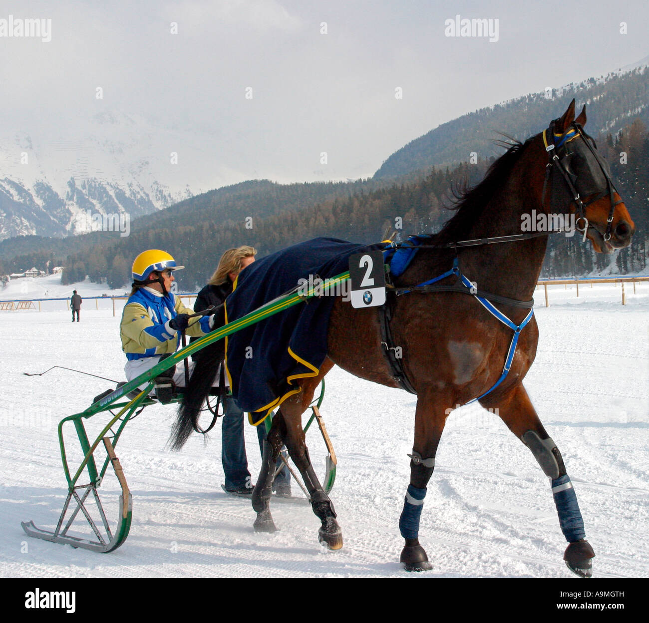 Donna racer con passeggero con il suo pony trap e sul lago ghiacciato di St Moritz svizzera Foto Stock