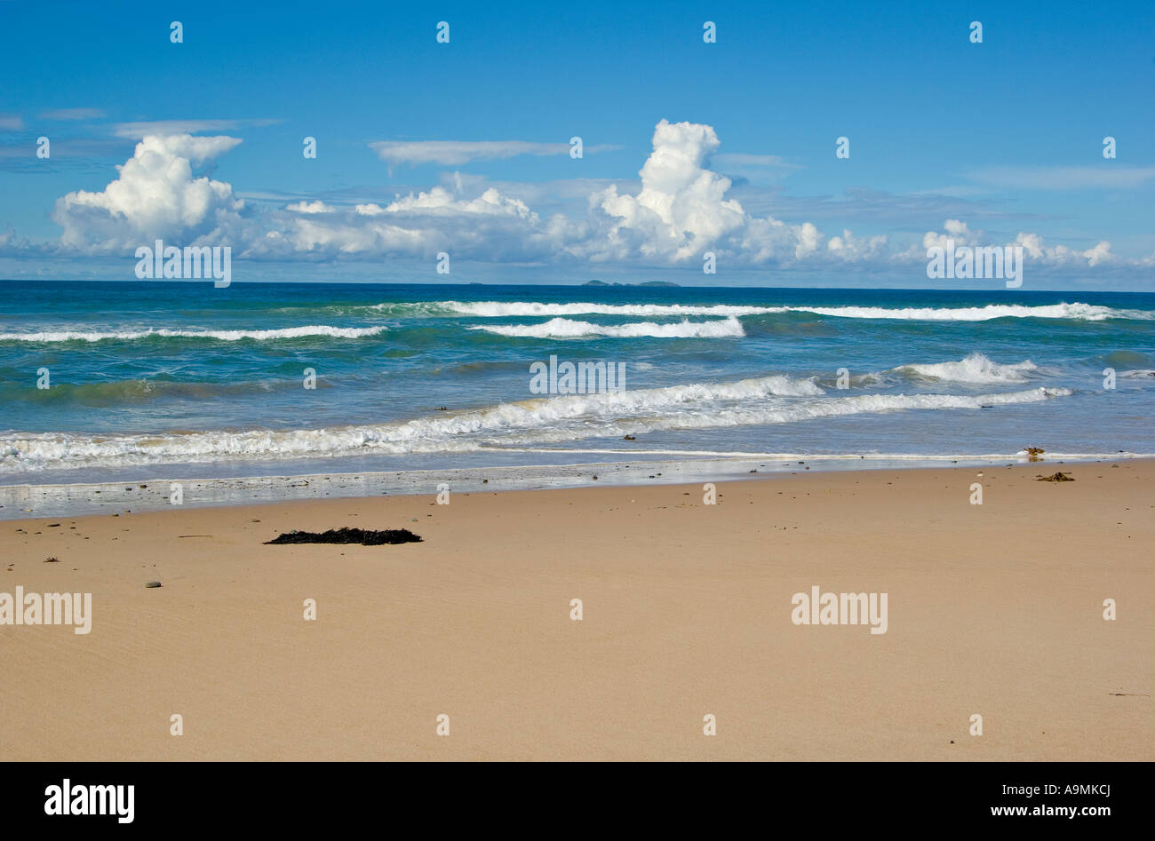 Un generico bella spiaggia sabbiosa tropicale immagine con le onde in arrivo Foto Stock