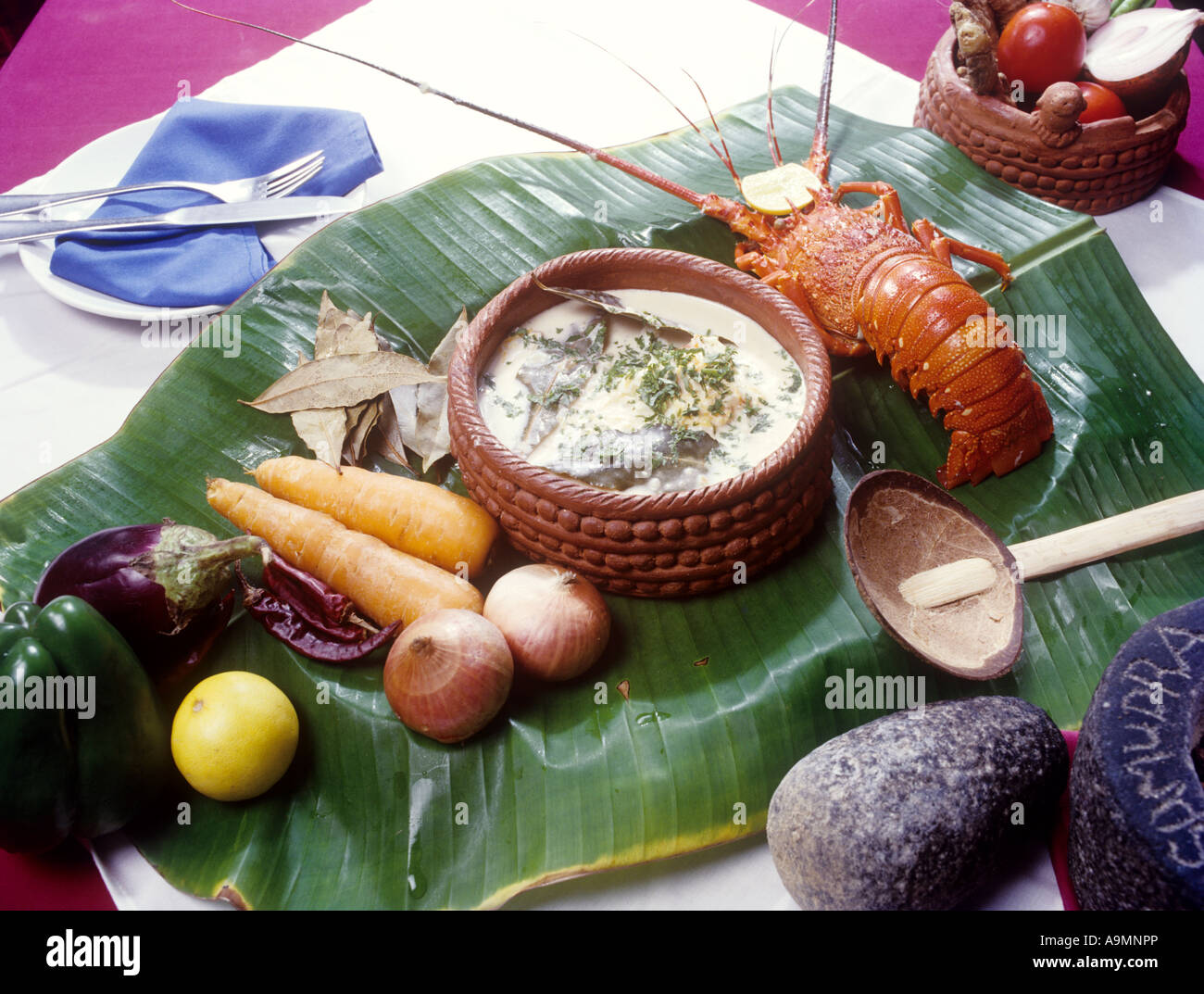 STUFATO DI ARAGOSTA Foto Stock