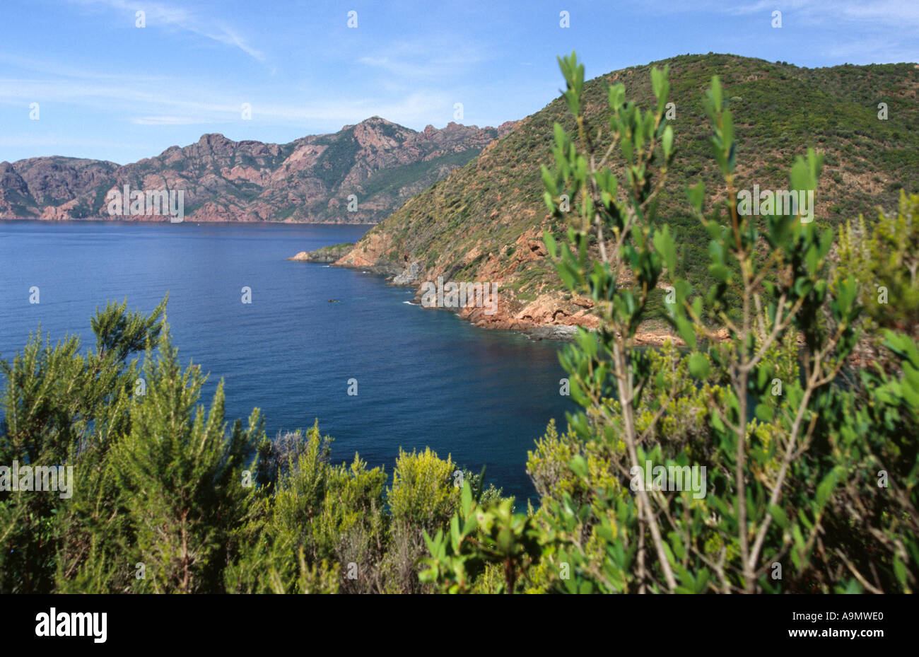 Girolata trek - Corsica Francia Foto Stock