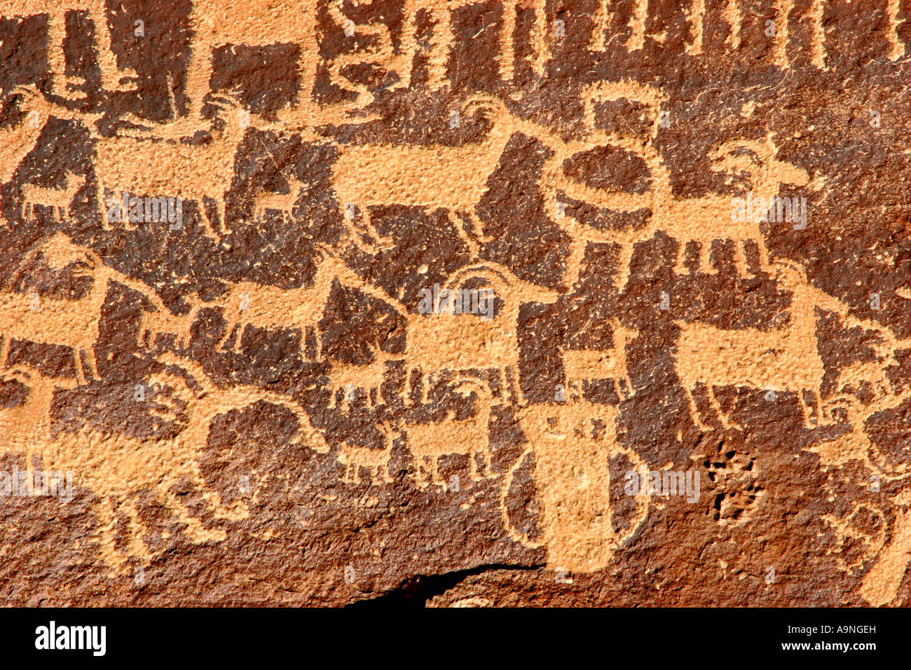 La scena di caccia, Nine Mile canyon incisioni rupestri, Utah Foto Stock