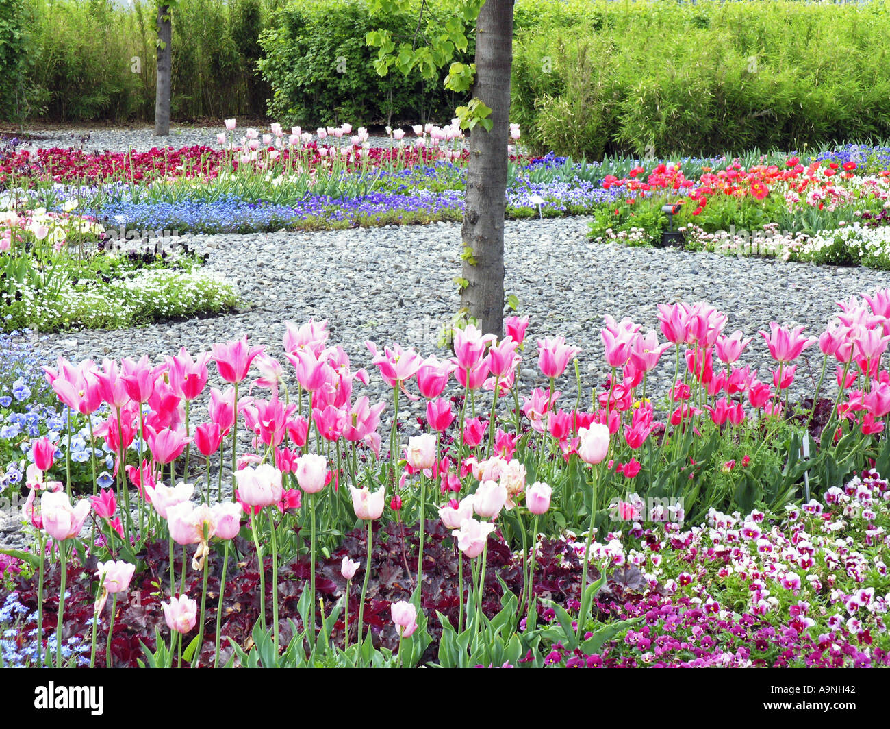 Bundesgartenschau Garden Show mostra a Monaco di Baviera Germania Europa Foto Stock