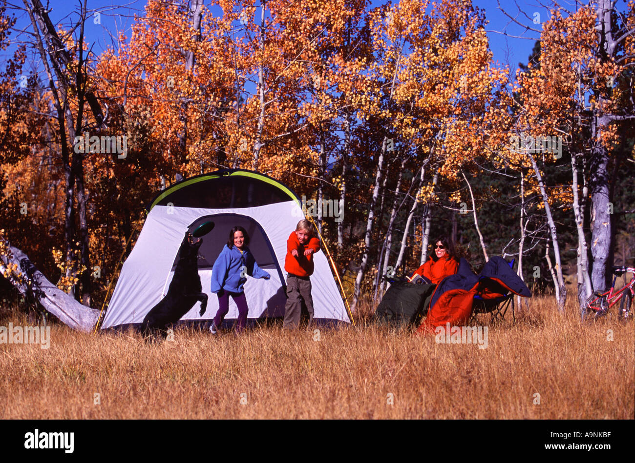 Una famiglia giocando con un cane mentre il campeggio vicino a Truckee CA Foto Stock