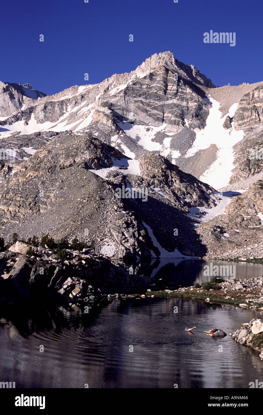 Un uomo le immersioni nel lago del tesoro nella Sierra Mountains della California Foto Stock