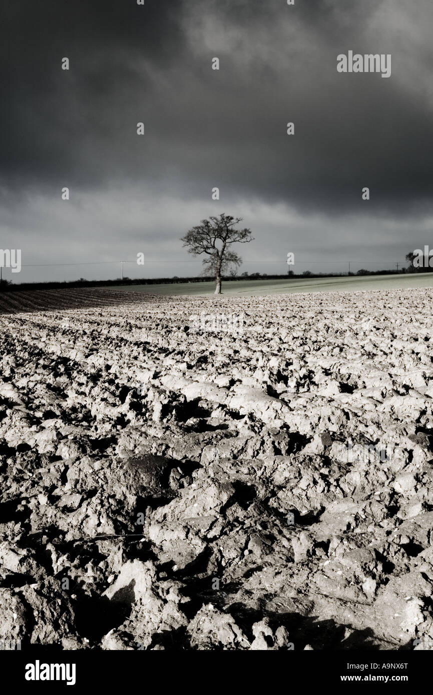 In bianco e nero, oscurata, fotografia di paesaggio di campi arati e una drammatica nuvoloso cielo invernale Foto Stock