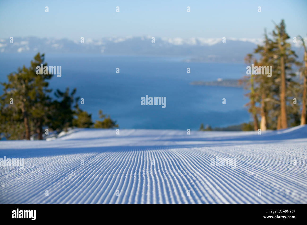 Un curato ski run affacciato sul Lago Tahoe a Diamond Peak NV Foto Stock