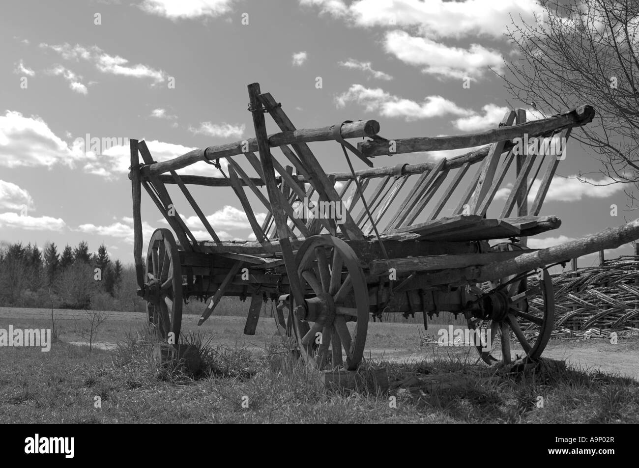 Antica carrello di legno in un campo campagna New Scenic 5 posti Foto Stock