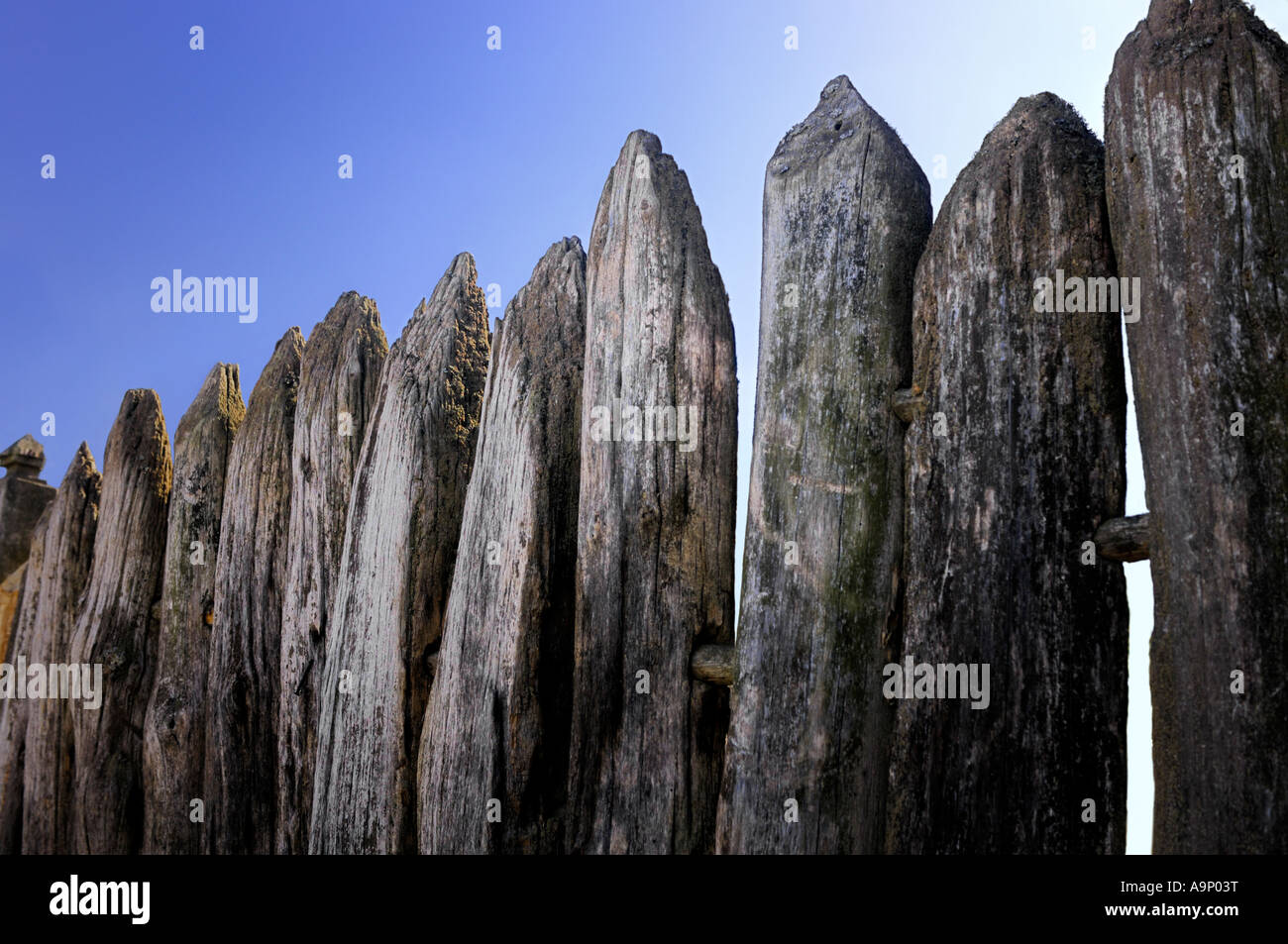 Vecchia palizzata recinzione di legno Foto Stock