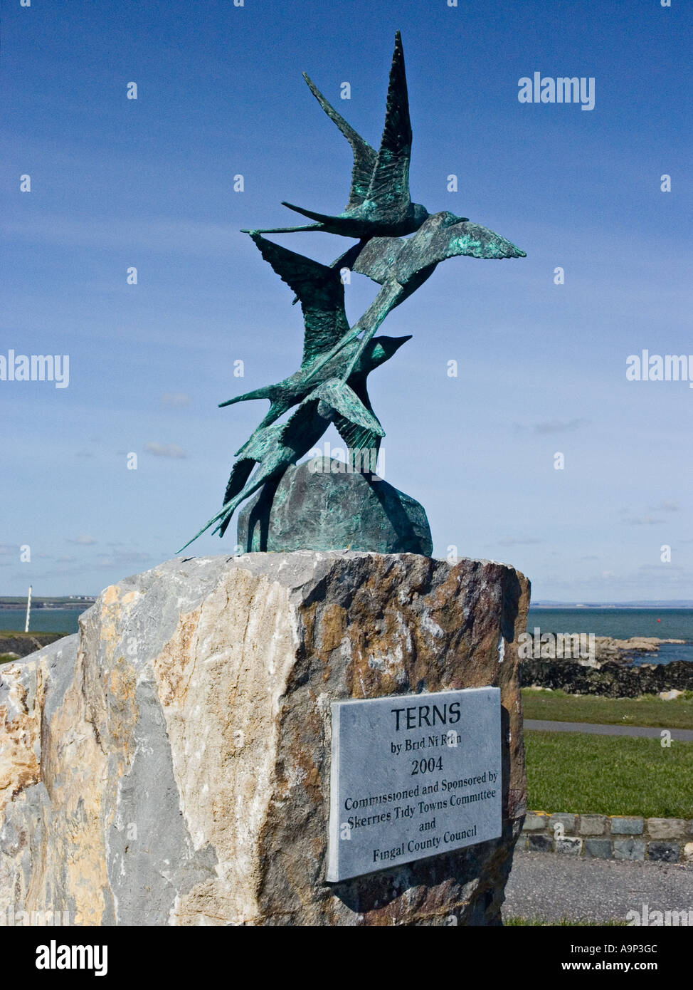 Una scultura in bronzo di sterne da Brid ni Rinn vicino a Skerries harbour regione settentrionale della contea di Dublino in Irlanda Foto Stock