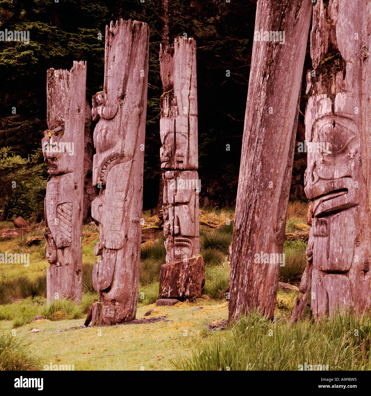 Totem, Ninstints, Haida Gwaii, (Queen Charlotte isole), BC, British Columbia, Canada - Anthony Isola, Gwaii Haanas Park Foto Stock