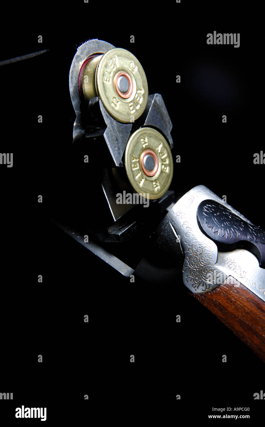 Violazione del foro 12 fucile caricato con due cartucce su uno sfondo nero Foto Stock